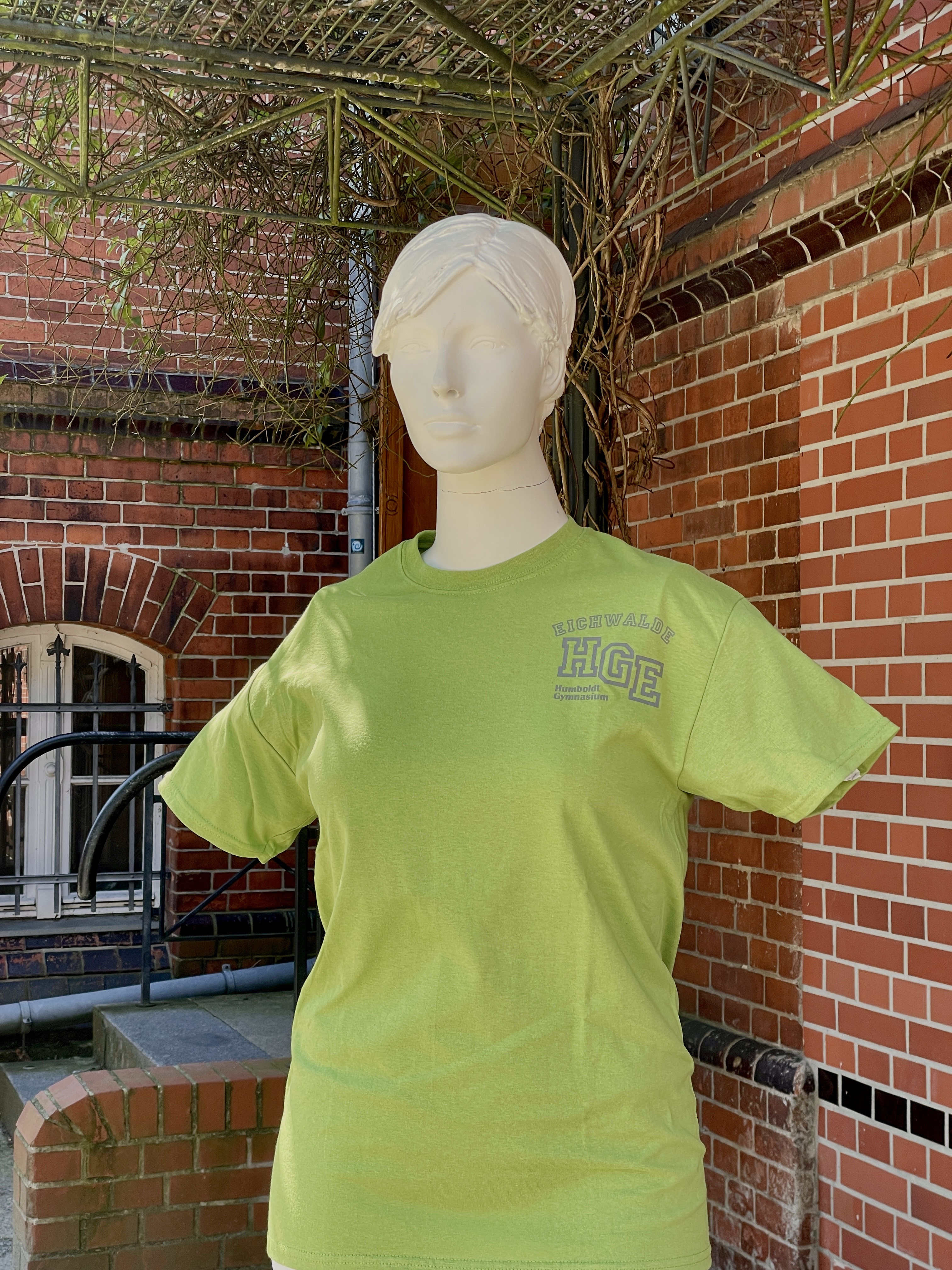 T-Shirt: Humboldt-Design